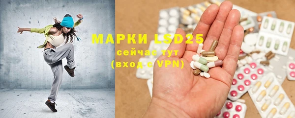 ECSTASY Ельня