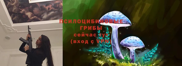 ECSTASY Ельня