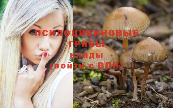 ГАЛЛЮЦИНОГЕННЫЕ ГРИБЫ Дмитров
