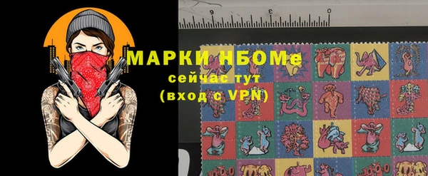 ECSTASY Ельня