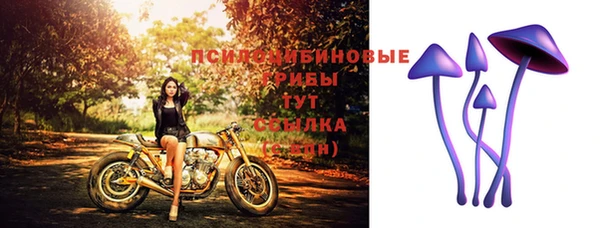 марки lsd Елизово
