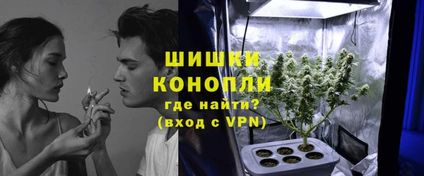 ECSTASY Ельня