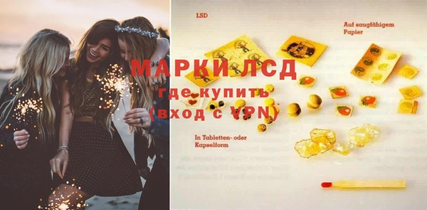 ECSTASY Ельня