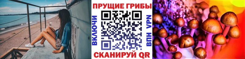 Псилоцибиновые грибы GOLDEN TEACHER  Облучье 